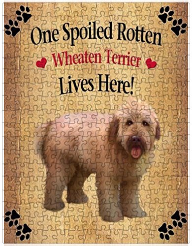 Spoiled Rotten Wheaten Terrier Dog Puzzle with Photo Tin (300 pc.)