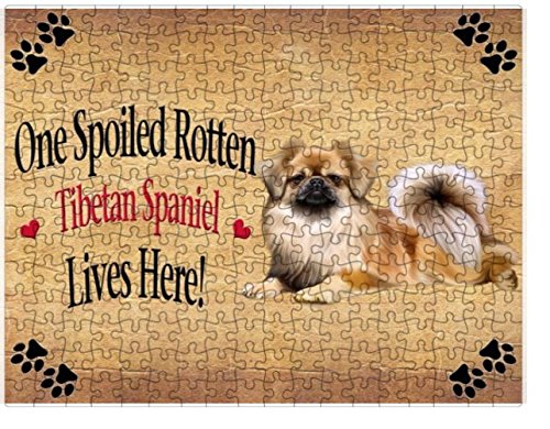 Spoiled Rotten Tibetan Spaniel Dog Puzzle