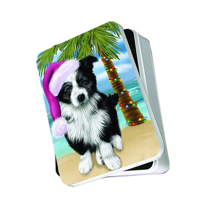 Summertime Border Collie Dog on Beach Christmas Photo Storage Tin PTIN0765