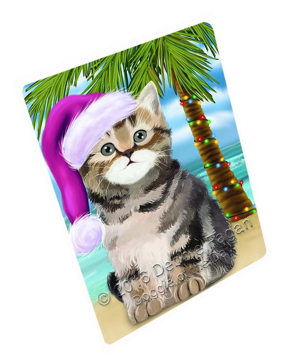 Summertime Happy Holidays Christmas British Shorthair Cat on Tropical Island Beach Large Refrigerator / Dishwasher Magnet D336