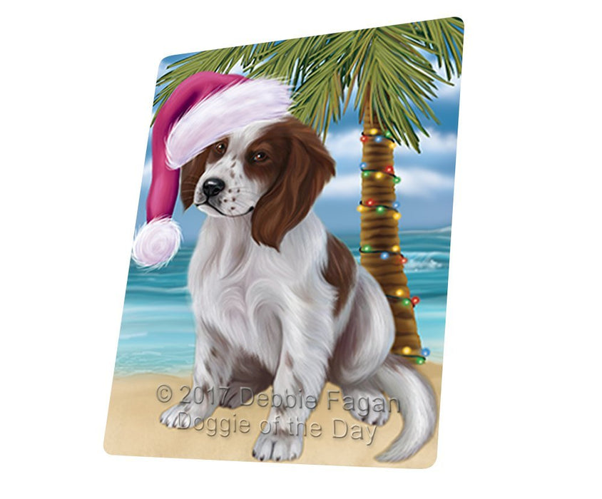 Summertime Happy Holidays Christmas Red And White Irish Setter Puppy Dog on Tropical Island Beach Large Refrigerator / Dishwasher Magnet D198