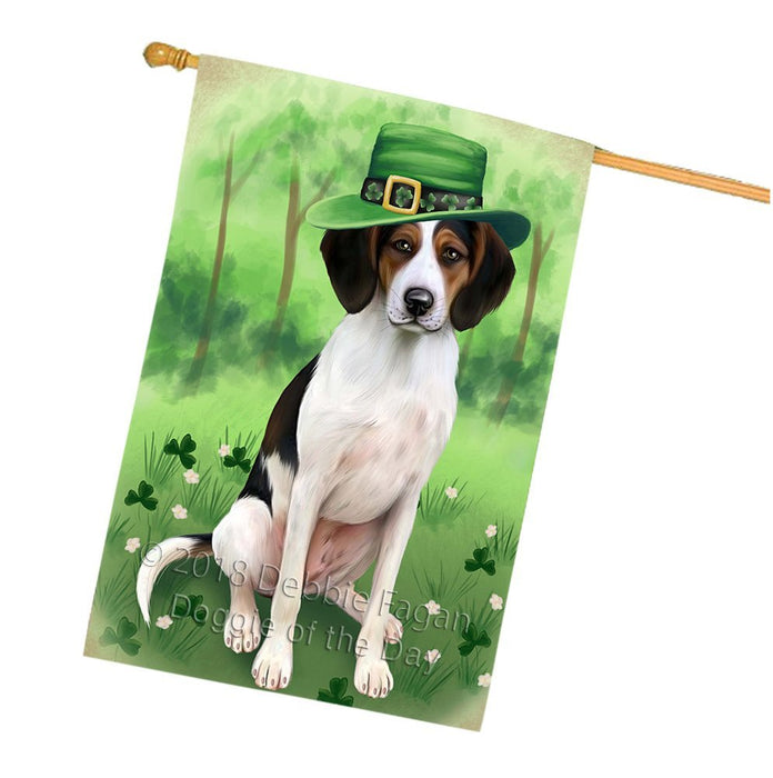 St. Patricks Day Irish Portrait Treeing Walker Coonhound Dog House Flag FLG49259