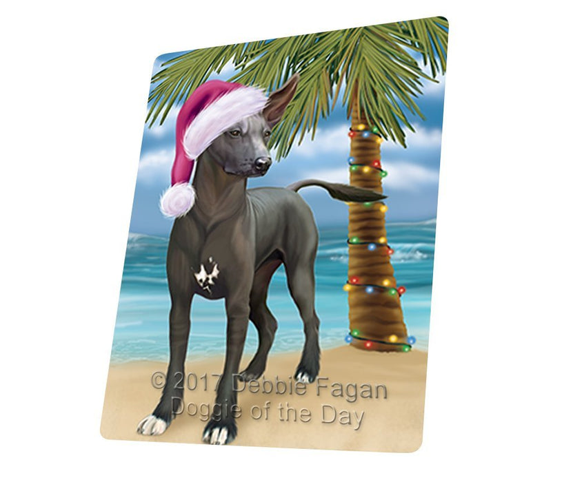 Summertime Happy Holidays Christmas Xoloitzcuintli Mexican Haireless Dog on Tropical Island Beach Large Refrigerator / Dishwasher Magnet D150