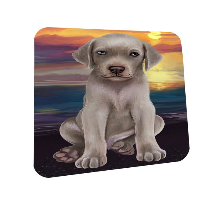 Weimaraner Dog Coasters Set of 4 CST48498