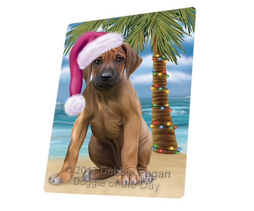 Summertime Happy Holidays Christmas Rhodesian Ridgeback Dog on Tropical Island Beach Large Refrigerator / Dishwasher Magnet D198