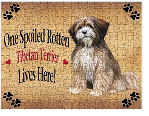 Spoiled Rotten Tibetan Terrier Dog Puzzle with Photo Tin