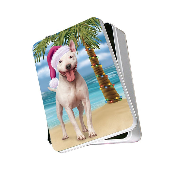 Summertime Bull Terrier Dog on Beach Christmas Photo Storage Tin PTIN0599
