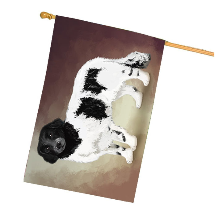 Stabyhoun Dog House Flag FLGA48134