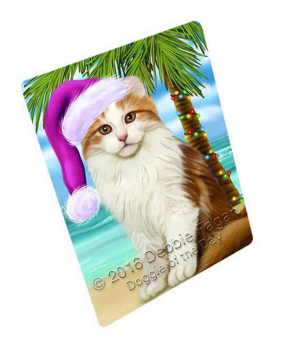 Summertime Happy Holidays Christmas American Curl Cat on Tropical Island Beach Large Refrigerator / Dishwasher Magnet D308