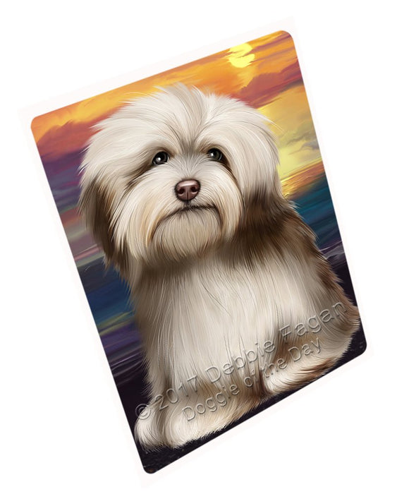 Havanese Dog Magnet Mini (3.5" x 2") MAG49326