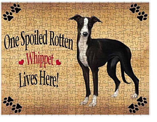Spoiled Rotten Whippet Black And White Dog Puzzle with Photo Tin