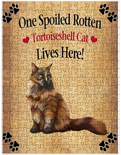 Spoiled Rotten Tortoiseshell Cat Puzzle with Photo Tin