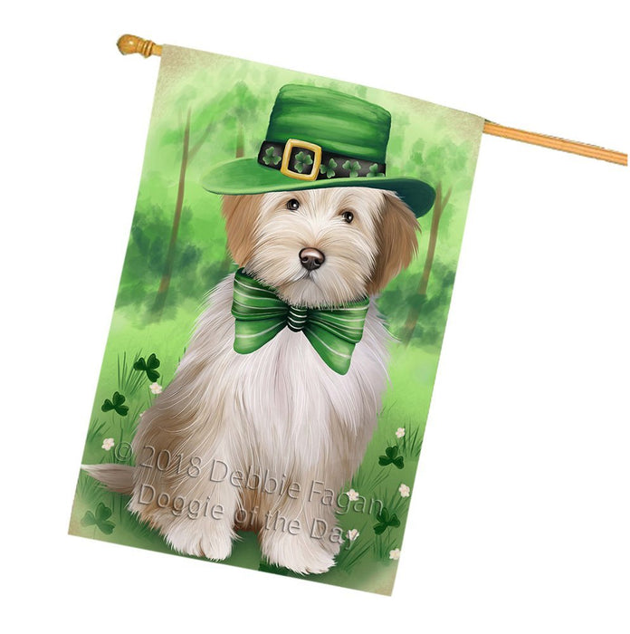 St. Patricks Day Irish Portrait Tibetan Terrier Dog House Flag FLG49258