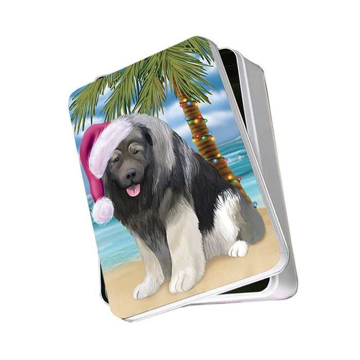 Summertime Caucasian Ovcharka Dog on Beach Christmas Photo Storage Tin PTIN0606