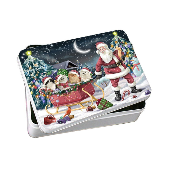 Santa Sled Cats Persian Christmas Photo Storage Tin PTIN0481