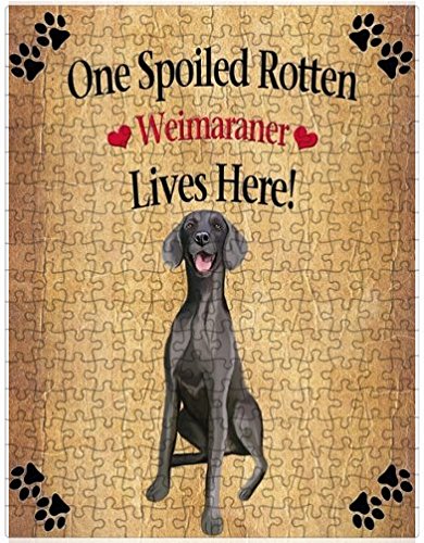 Spoiled Rotten Weimaraner Dog Puzzle with Photo Tin
