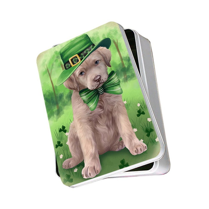 St. Patricks Day Irish Portrait Chesapeake Bay Retriever Dog Photo Storage Tin PITN48772
