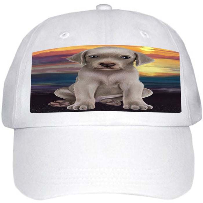 Weimaraner Dog Ball Hat Cap HAT49350