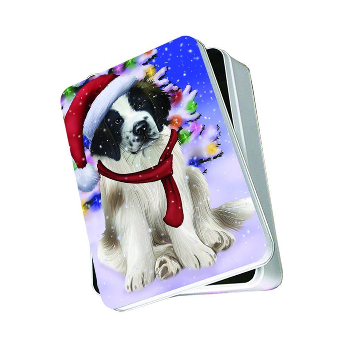 Winter Wonderland Saint Bernard Dog on Beach Christmas Photo Storage Tin PTIN0776