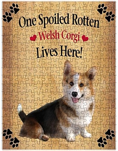 Spoiled Rotten Welsh Corgi Dog Puzzle with Photo Tin