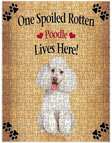 Spoiled Rotten White Poodle Dog Puzzle with Photo Tin