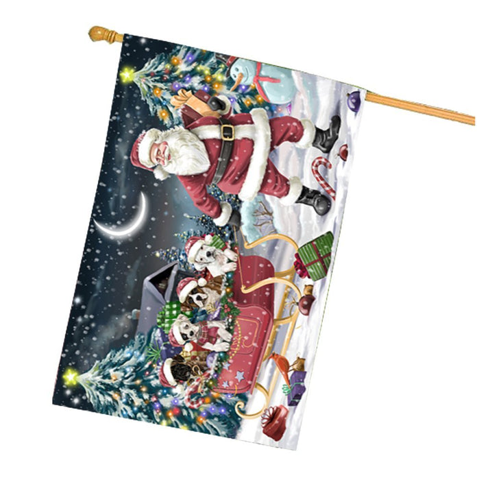 Santa Sled Dogs Christmas Happy Holidays Boxer Dogs House Flag HFLG303