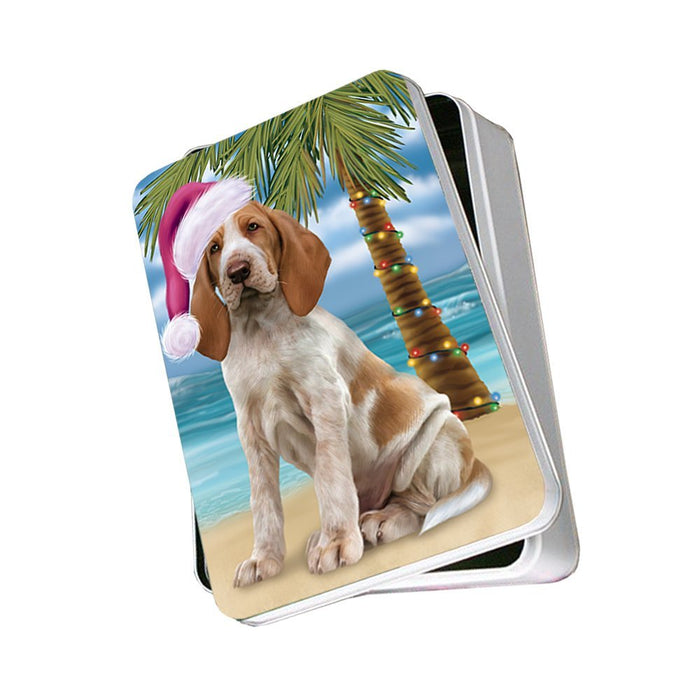Summertime Bracco Italiano Dog on Beach Christmas Photo Storage Tin PTIN0591