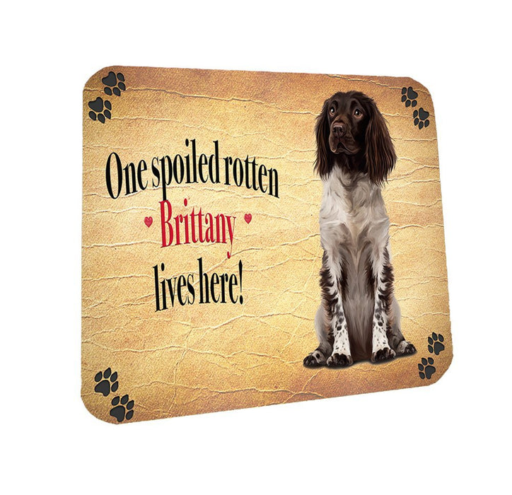 Spoiled Rotten Britany Sitting Dog Coasters Set of 4