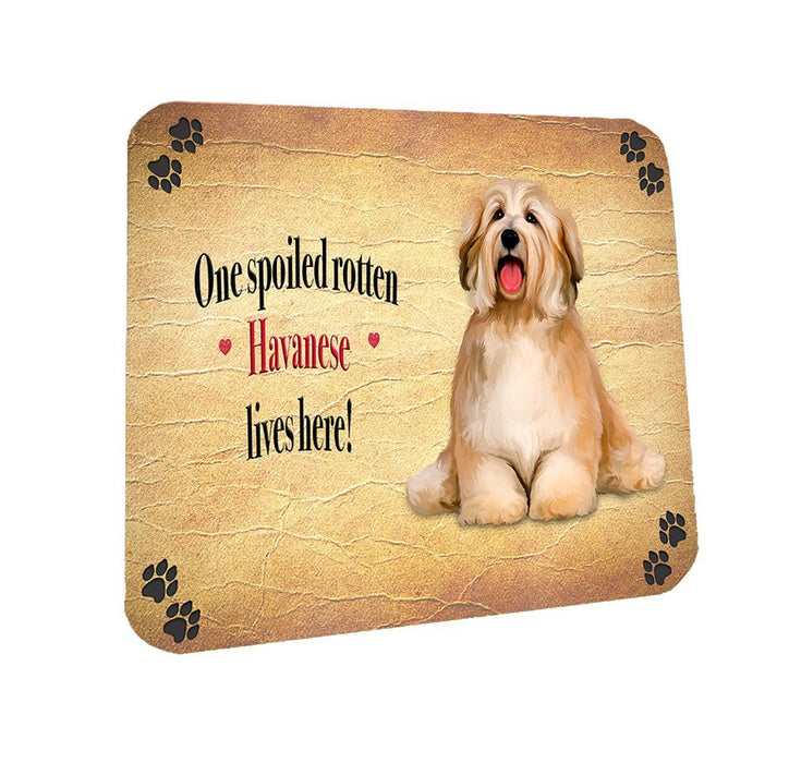 Spoiled Rotten Havanese Dog Coasters Set of 4