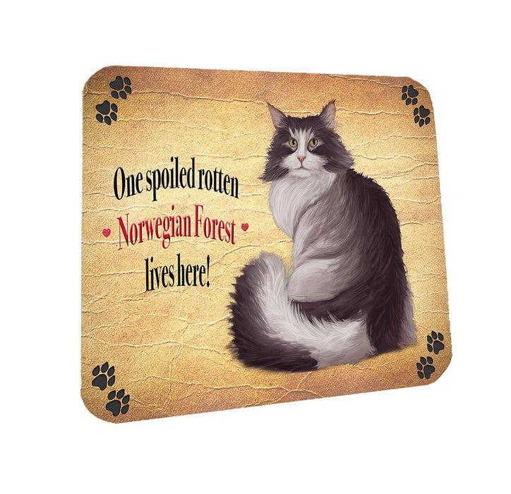 Spoiled Rotten Norwegian Forest Cat Coasters Set of 4