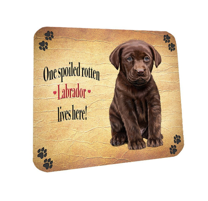 Spoiled Rotten Labrador Brown Dog Coasters Set of 4