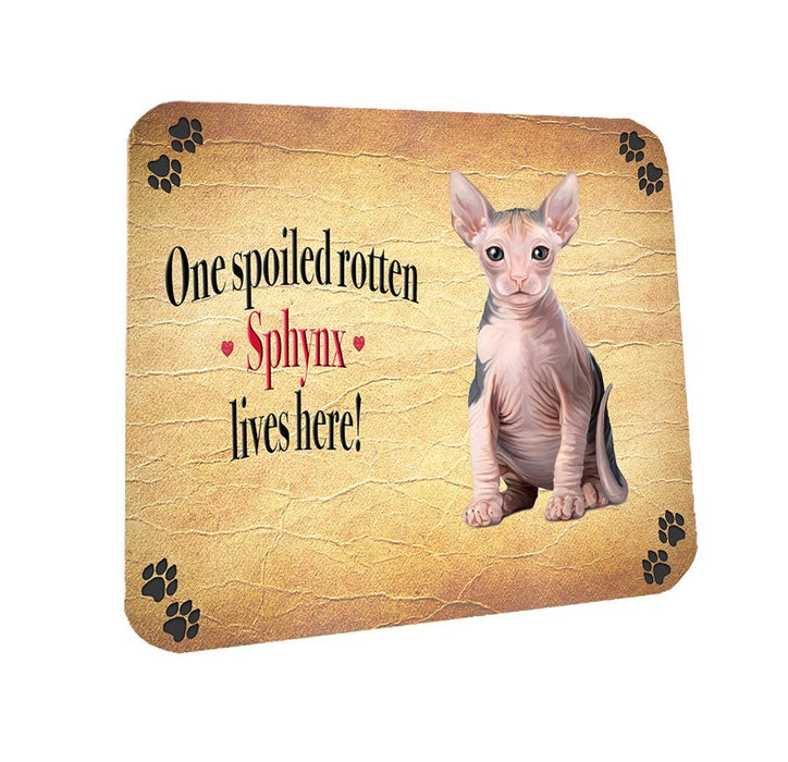 Spoiled Rotten Sphynx Cat Coasters Set of 4