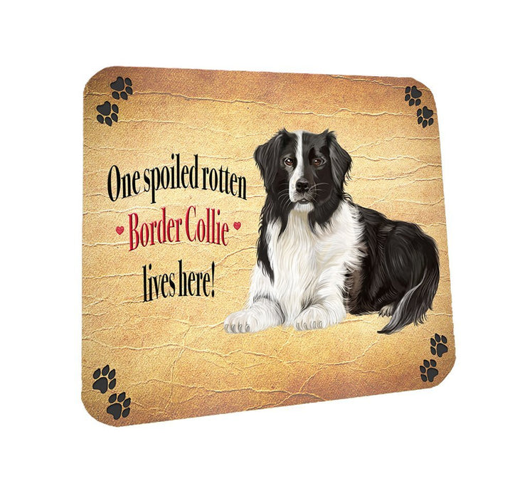 Spoiled Rotten Border Collie Dog Coasters Set of 4