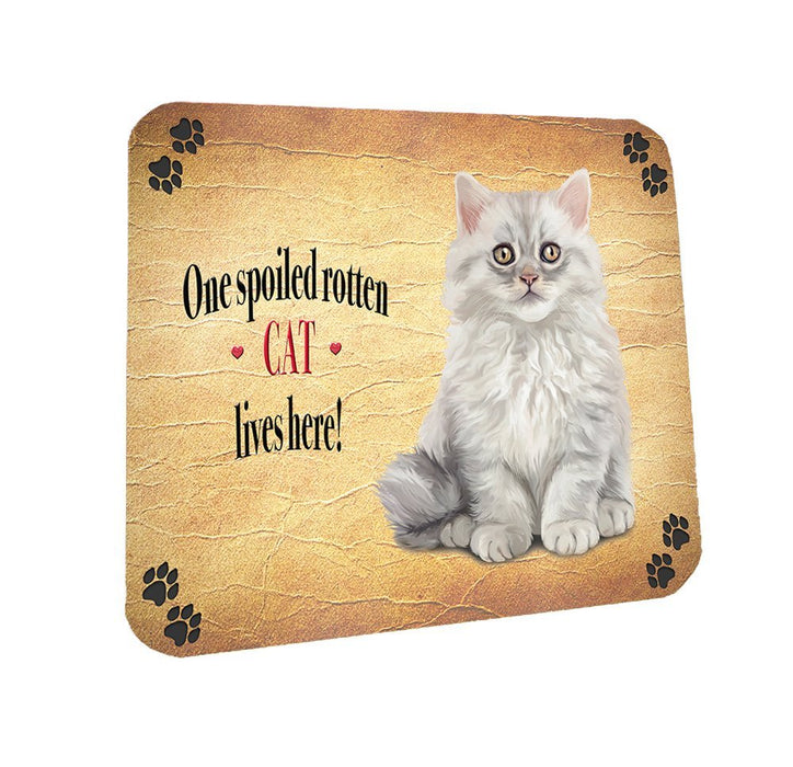 Spoiled Rotten Fluffy Longhair Cat Coasters Set of 4