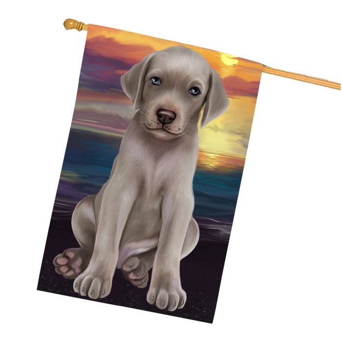 Weimaraner Dog House Flag FLG48552