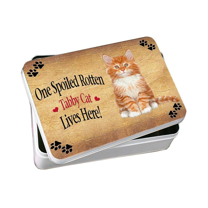 Tabby Spoiled Rotten Cat Photo Storage Tin