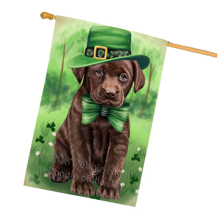 St. Patricks Day Irish Portrait Labrador Retriever Dog House Flag FLG48792