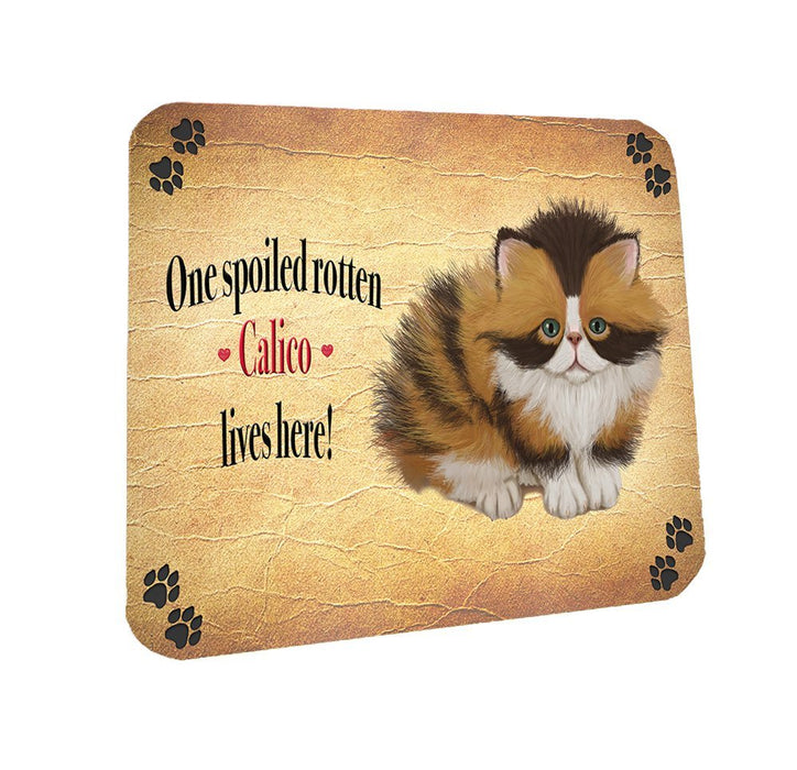 Spoiled Rotten Calico Cat Coasters Set of 4