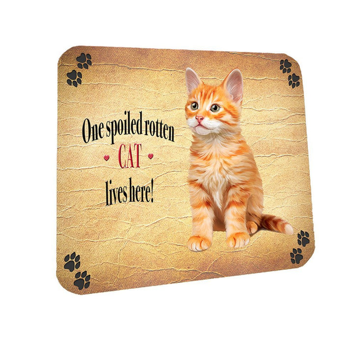 Spoiled Rotten Tabby Orange Cat Coasters Set of 4