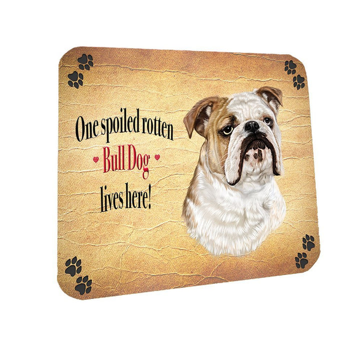 Spoiled Rotten Bull Dog Coasters Set of 4