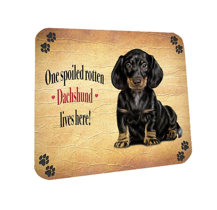 Spoiled Rotten Dachshund Dog Coasters Set of 4