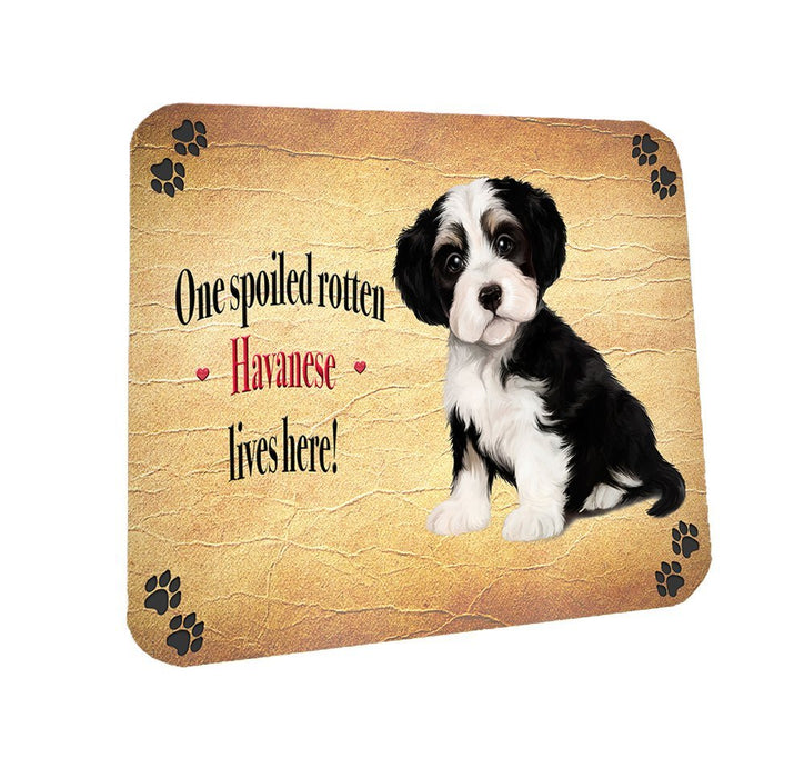 Spoiled Rotten Havanese Dog Coasters Set of 4