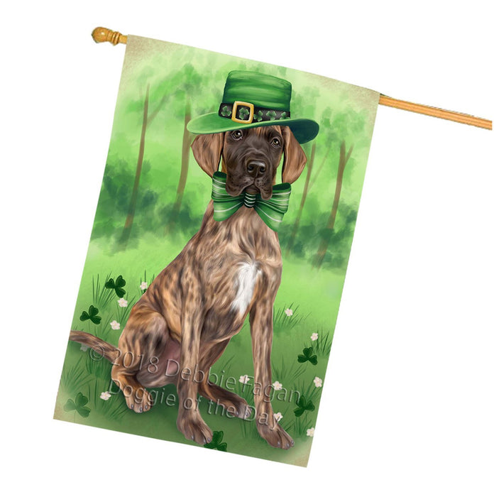St. Patricks Day Irish Portrait Great Dane Dog House Flag FLG48778