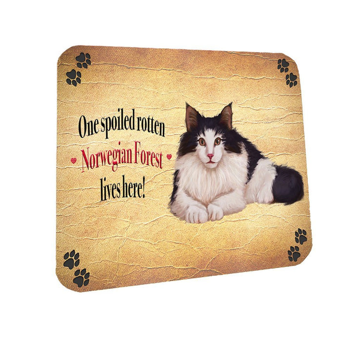 Spoiled Rotten Norwegian Forest Cat Coasters Set of 4