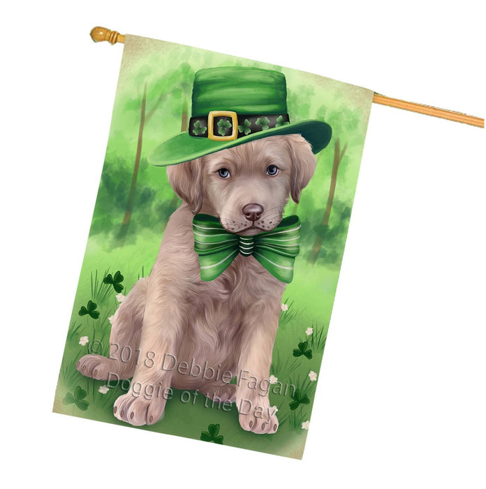 St. Patricks Day Irish Portrait Chesapeake Bay Retriever Dog House Flag FLG48737