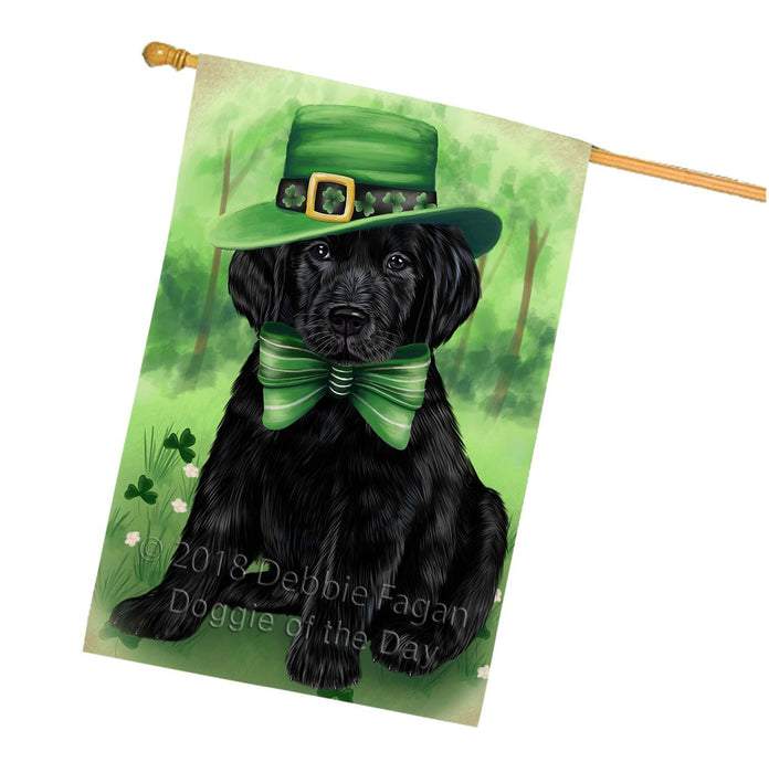 St. Patricks Day Irish Portrait Labrador Retriever Dog House Flag FLG48790