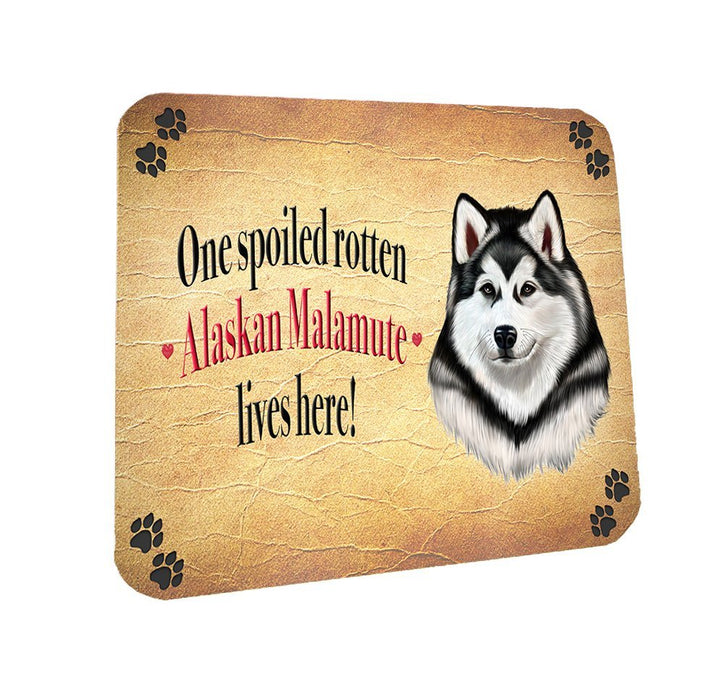 Spoiled Rotten Alaskan Malamute Dog Coasters Set of 4