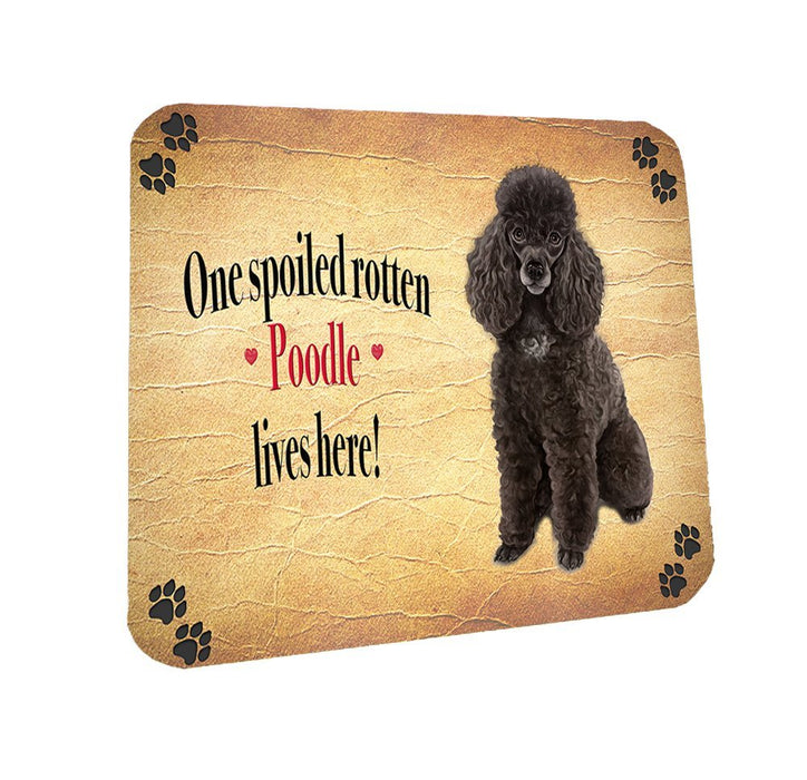 Spoiled Rotten Brown Poodle Dog Coasters Set of 4