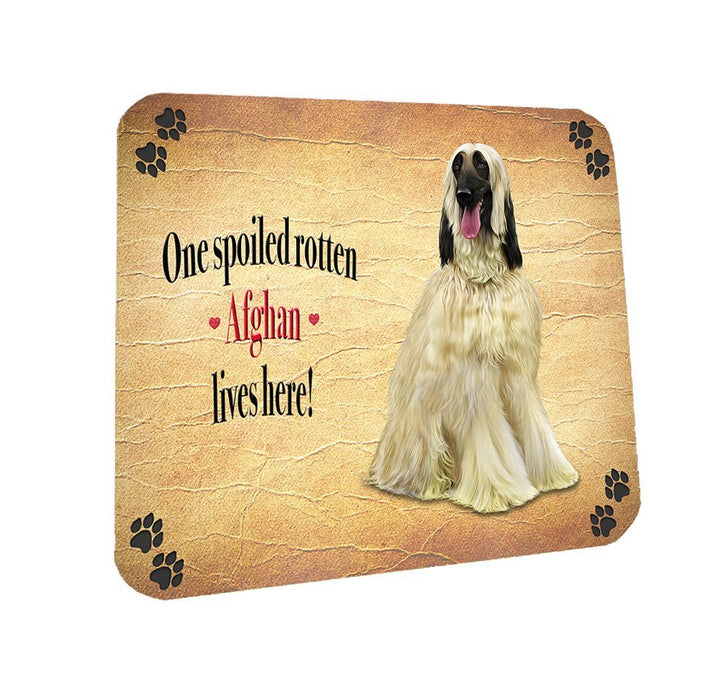 Spoiled Rotten Afghan Dog Coasters Set of 4