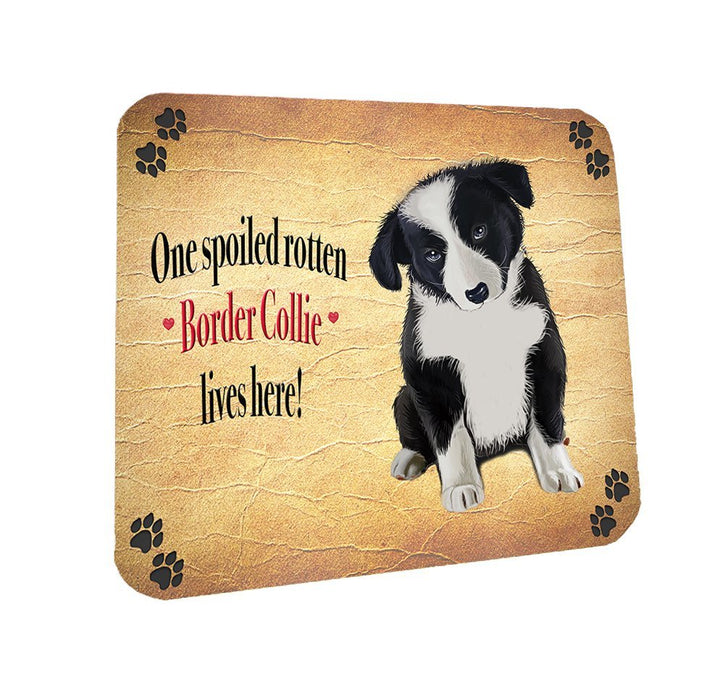 Spoiled Rotten Border Collie Dog Coasters Set of 4